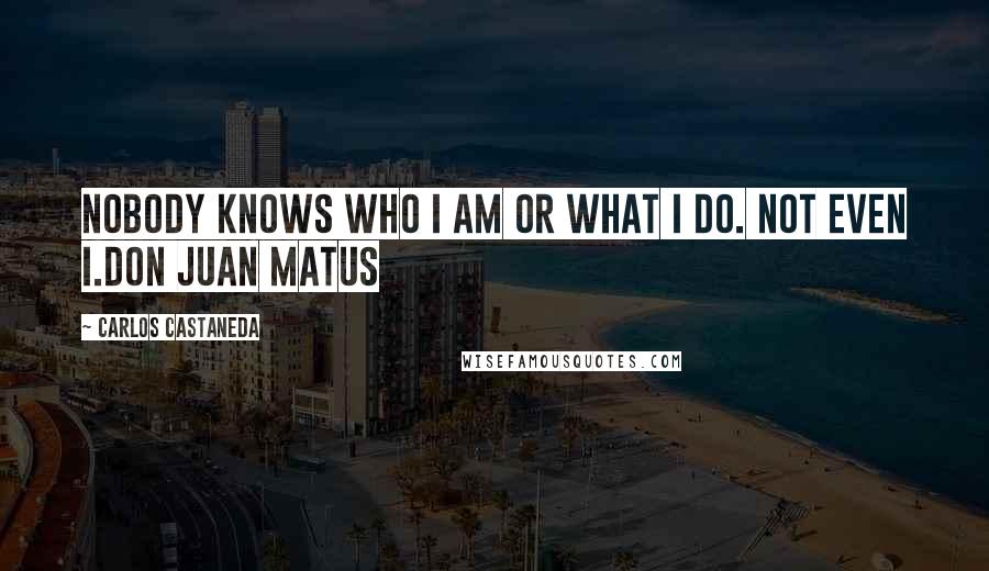 Carlos Castaneda Quotes: Nobody knows who I am or what I do. Not even I.Don Juan Matus