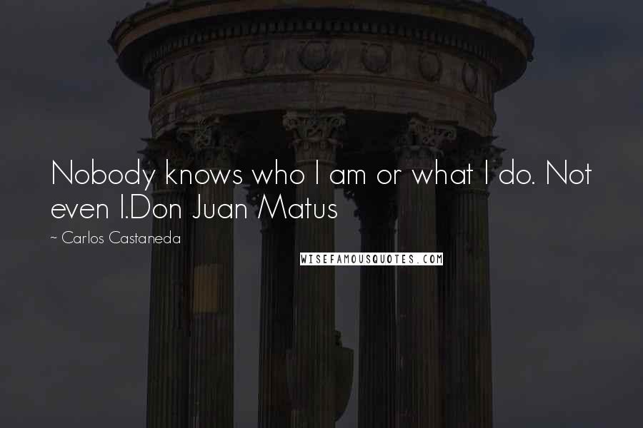 Carlos Castaneda Quotes: Nobody knows who I am or what I do. Not even I.Don Juan Matus