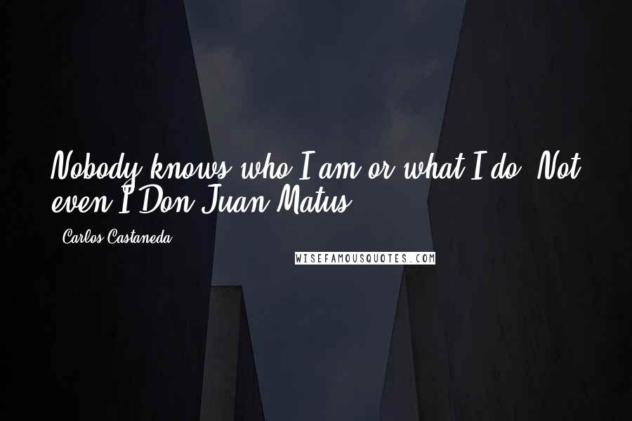 Carlos Castaneda Quotes: Nobody knows who I am or what I do. Not even I.Don Juan Matus