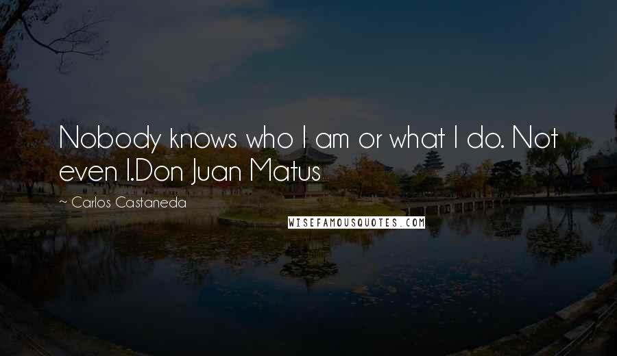 Carlos Castaneda Quotes: Nobody knows who I am or what I do. Not even I.Don Juan Matus