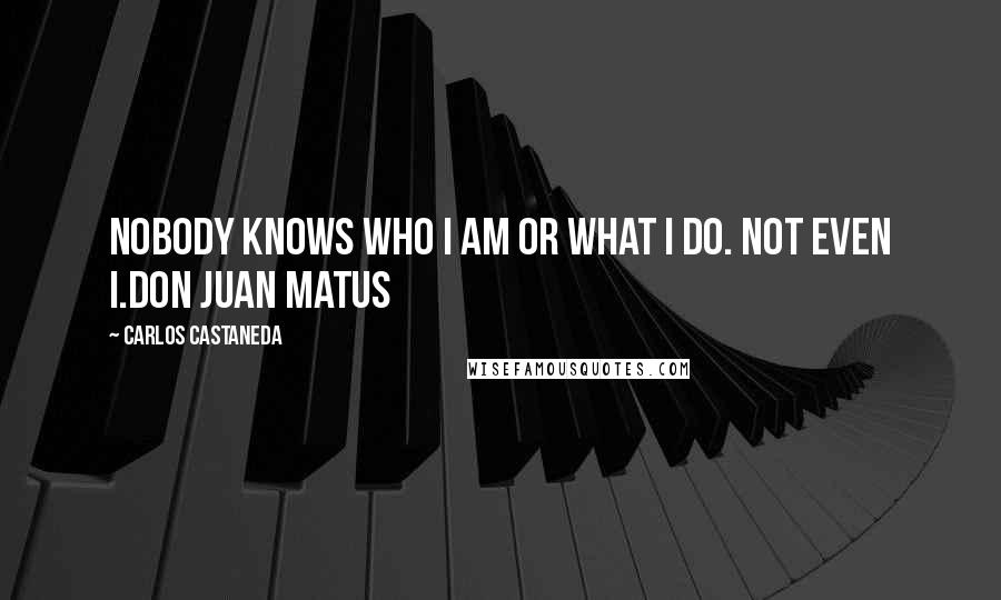 Carlos Castaneda Quotes: Nobody knows who I am or what I do. Not even I.Don Juan Matus