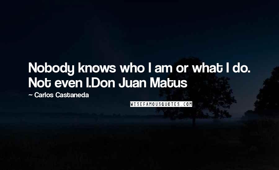 Carlos Castaneda Quotes: Nobody knows who I am or what I do. Not even I.Don Juan Matus