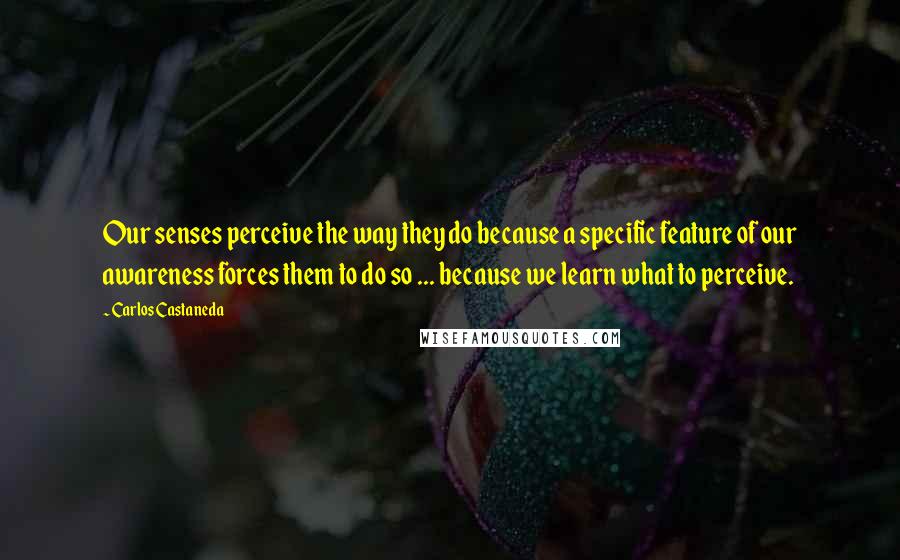 Carlos Castaneda Quotes: Our senses perceive the way they do because a specific feature of our awareness forces them to do so ... because we learn what to perceive.