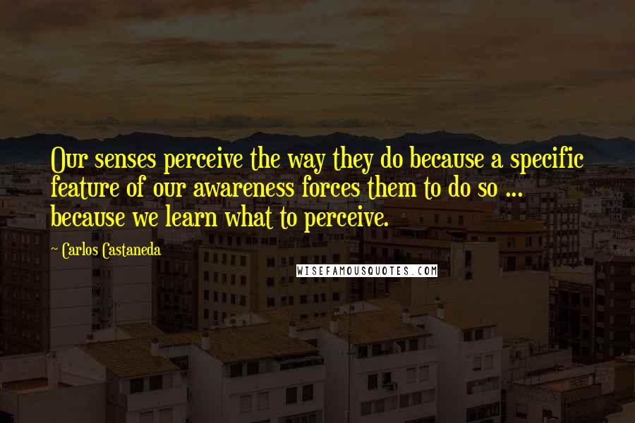 Carlos Castaneda Quotes: Our senses perceive the way they do because a specific feature of our awareness forces them to do so ... because we learn what to perceive.