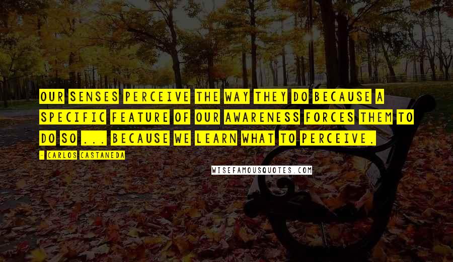 Carlos Castaneda Quotes: Our senses perceive the way they do because a specific feature of our awareness forces them to do so ... because we learn what to perceive.