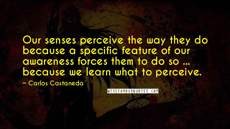 Carlos Castaneda Quotes: Our senses perceive the way they do because a specific feature of our awareness forces them to do so ... because we learn what to perceive.