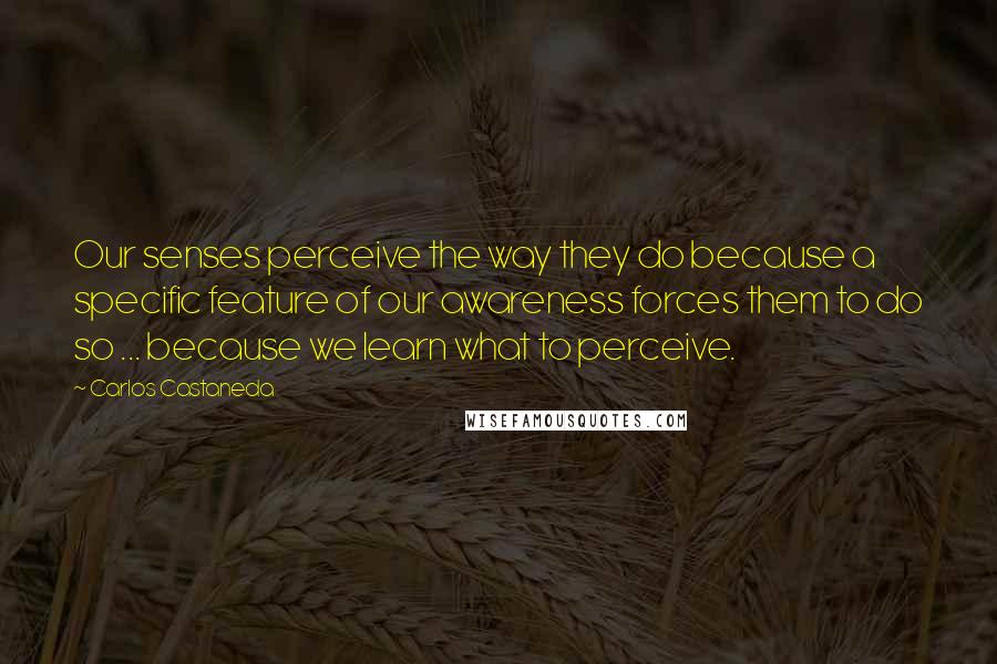 Carlos Castaneda Quotes: Our senses perceive the way they do because a specific feature of our awareness forces them to do so ... because we learn what to perceive.