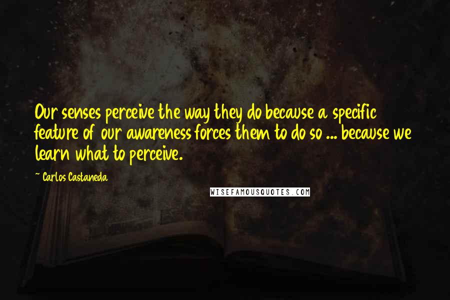 Carlos Castaneda Quotes: Our senses perceive the way they do because a specific feature of our awareness forces them to do so ... because we learn what to perceive.