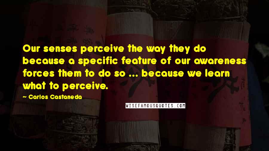 Carlos Castaneda Quotes: Our senses perceive the way they do because a specific feature of our awareness forces them to do so ... because we learn what to perceive.