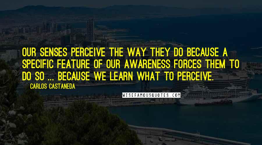 Carlos Castaneda Quotes: Our senses perceive the way they do because a specific feature of our awareness forces them to do so ... because we learn what to perceive.