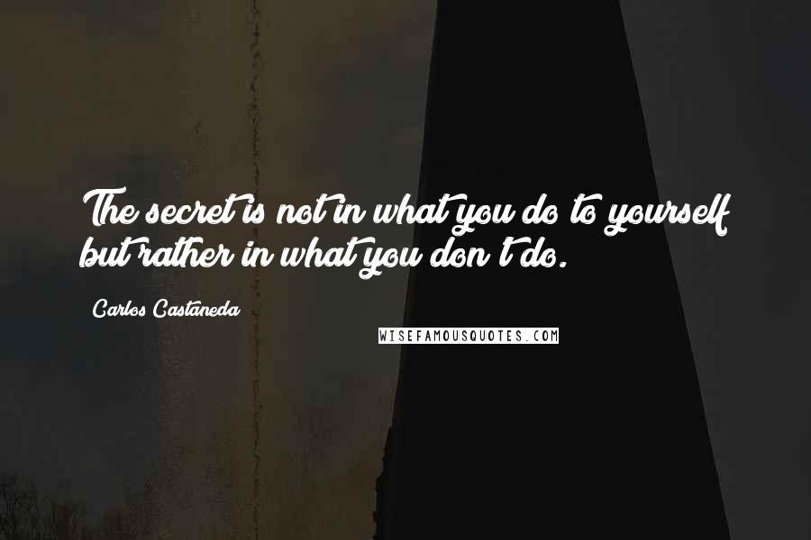 Carlos Castaneda Quotes: The secret is not in what you do to yourself but rather in what you don't do.