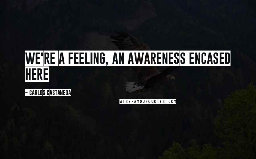 Carlos Castaneda Quotes: We're a feeling, an awareness encased here