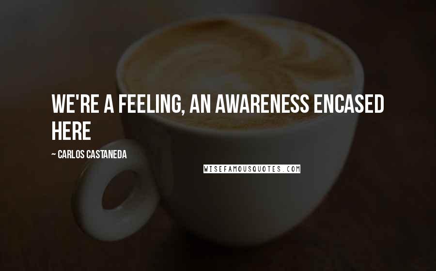 Carlos Castaneda Quotes: We're a feeling, an awareness encased here