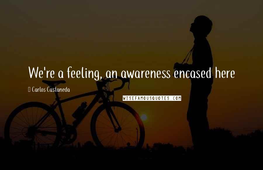 Carlos Castaneda Quotes: We're a feeling, an awareness encased here