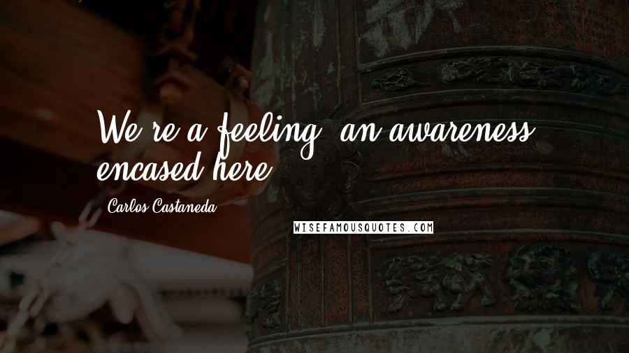 Carlos Castaneda Quotes: We're a feeling, an awareness encased here