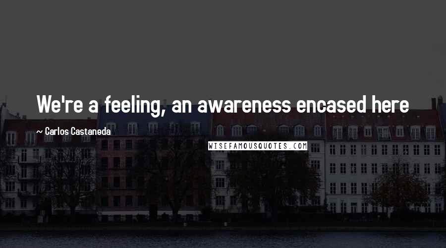 Carlos Castaneda Quotes: We're a feeling, an awareness encased here