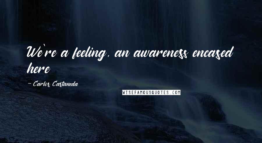 Carlos Castaneda Quotes: We're a feeling, an awareness encased here