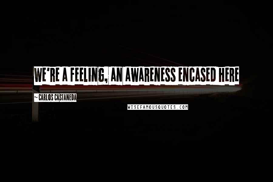 Carlos Castaneda Quotes: We're a feeling, an awareness encased here