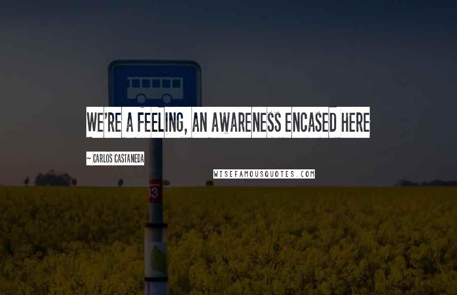 Carlos Castaneda Quotes: We're a feeling, an awareness encased here