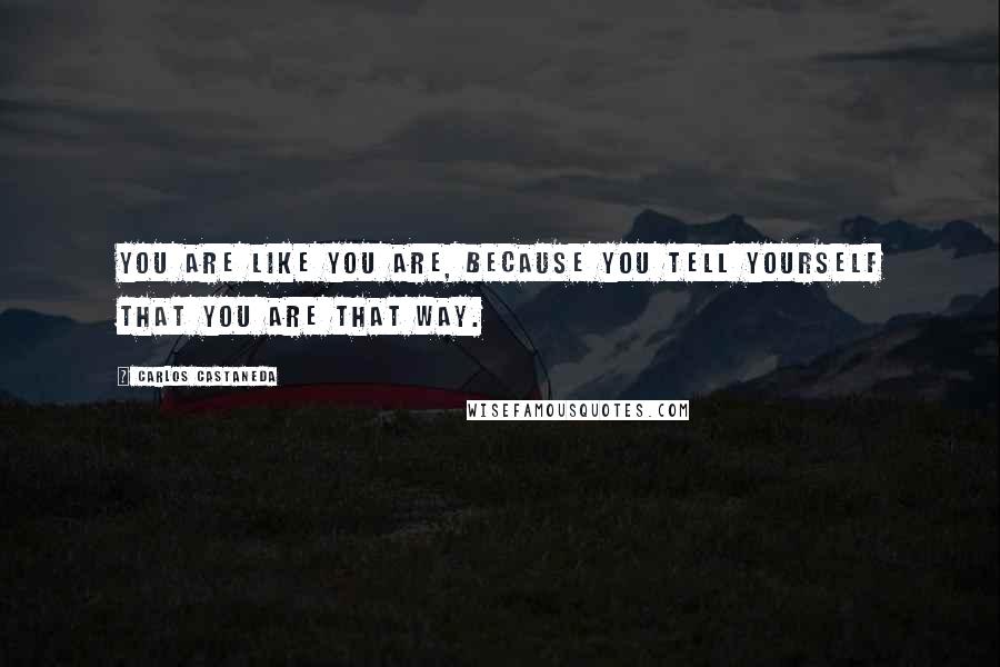 Carlos Castaneda Quotes: You are like you are, because you tell yourself that you are that way.