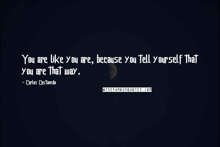 Carlos Castaneda Quotes: You are like you are, because you tell yourself that you are that way.