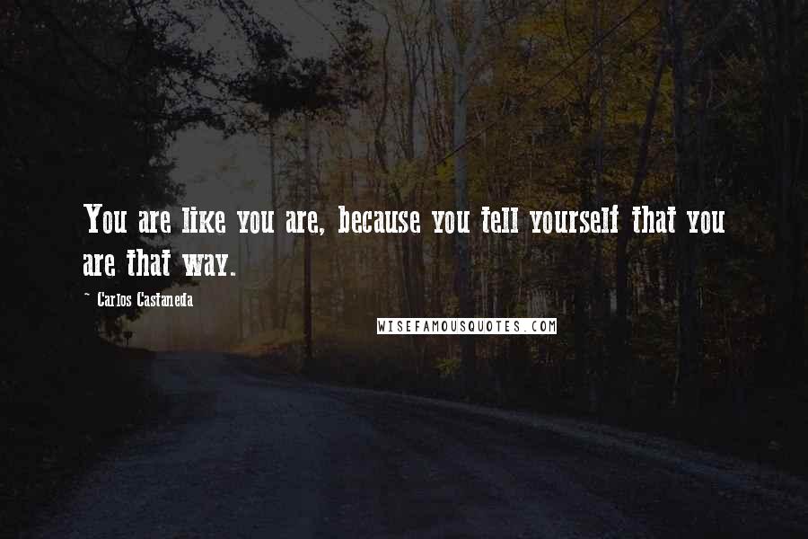 Carlos Castaneda Quotes: You are like you are, because you tell yourself that you are that way.