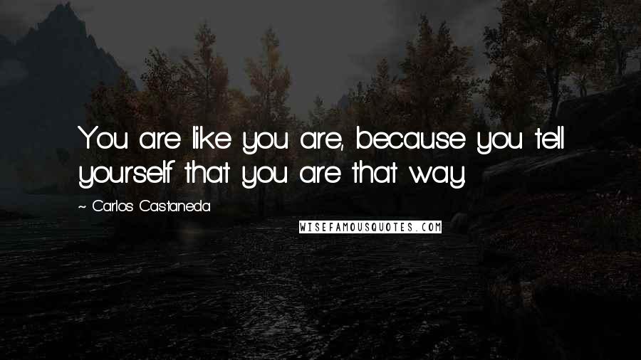 Carlos Castaneda Quotes: You are like you are, because you tell yourself that you are that way.