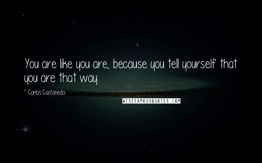 Carlos Castaneda Quotes: You are like you are, because you tell yourself that you are that way.