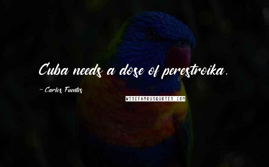 Carlos Fuentes Quotes: Cuba needs a dose of perestroika.