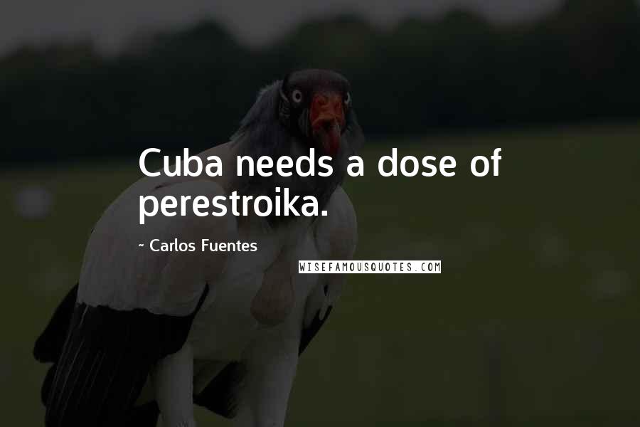 Carlos Fuentes Quotes: Cuba needs a dose of perestroika.