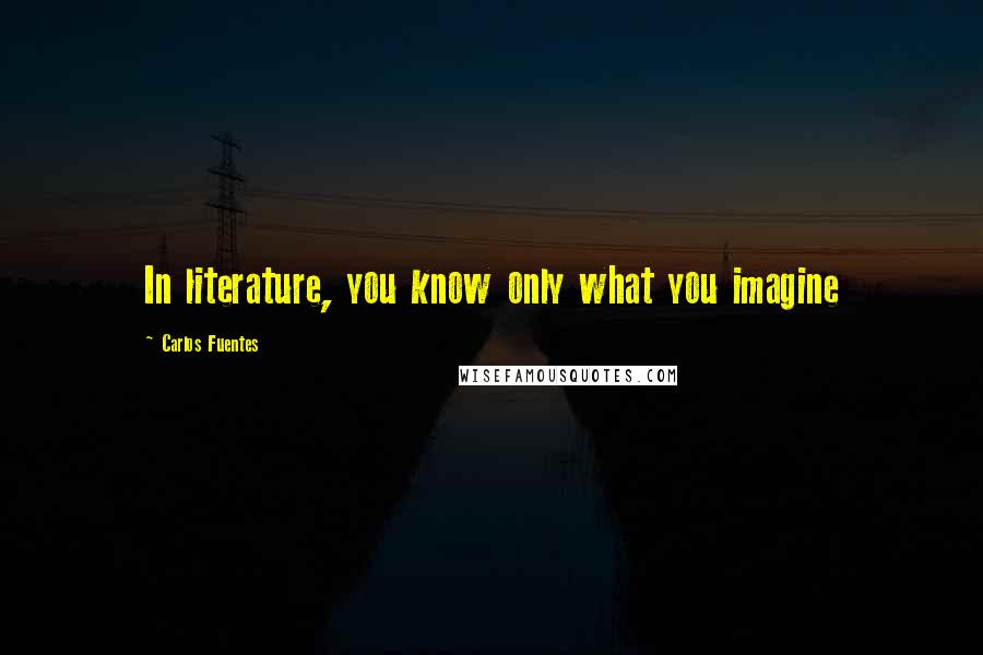 Carlos Fuentes Quotes: In literature, you know only what you imagine