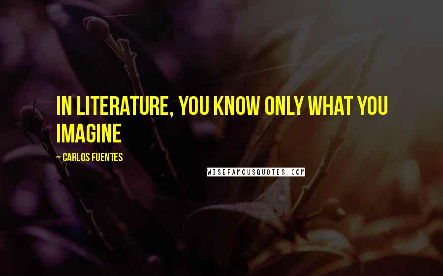 Carlos Fuentes Quotes: In literature, you know only what you imagine