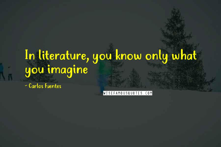 Carlos Fuentes Quotes: In literature, you know only what you imagine