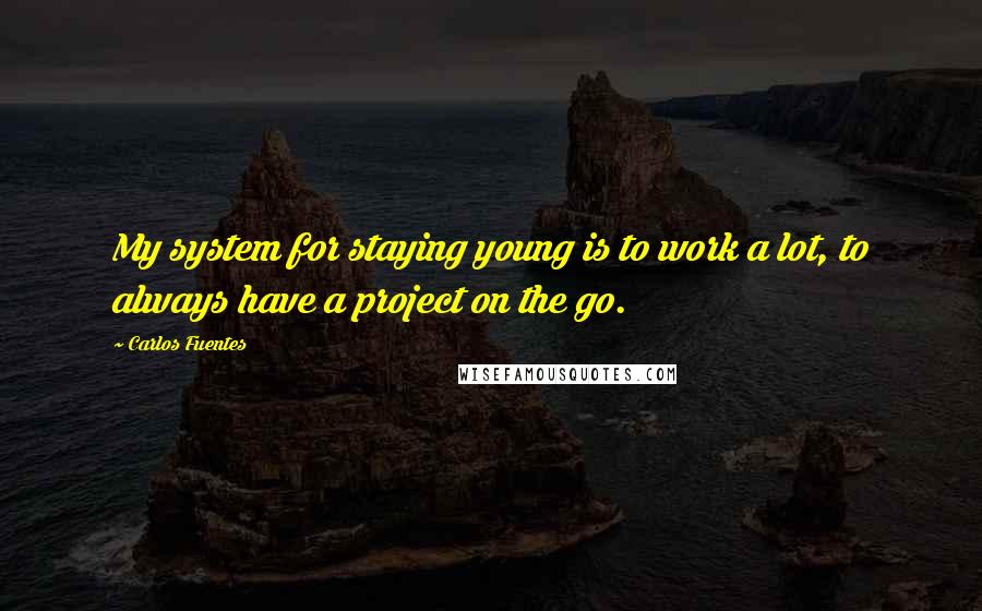 Carlos Fuentes Quotes: My system for staying young is to work a lot, to always have a project on the go.