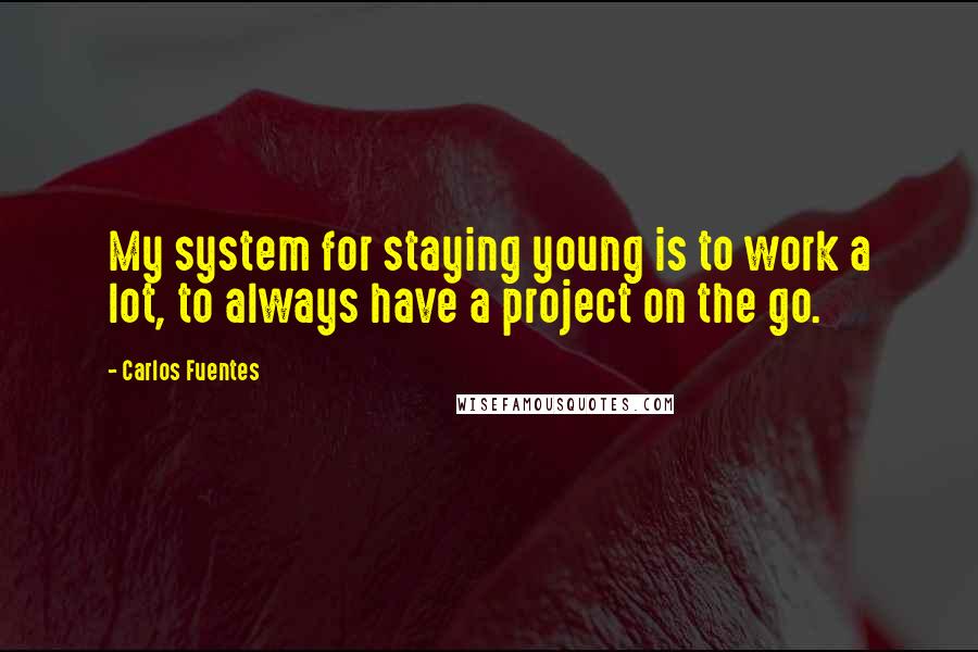 Carlos Fuentes Quotes: My system for staying young is to work a lot, to always have a project on the go.