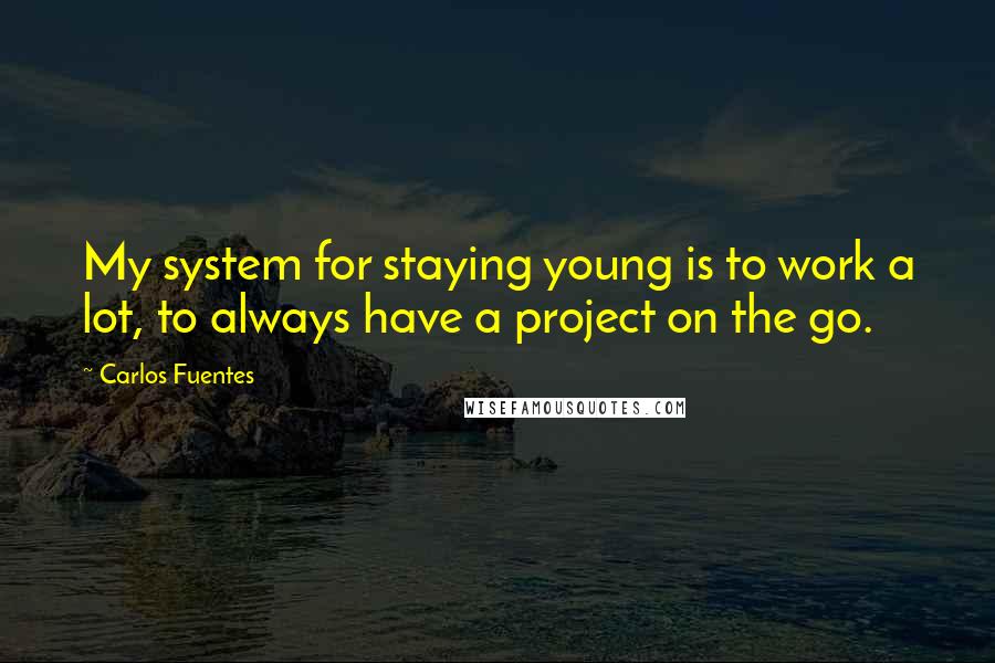 Carlos Fuentes Quotes: My system for staying young is to work a lot, to always have a project on the go.