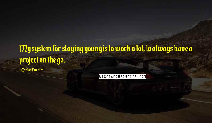 Carlos Fuentes Quotes: My system for staying young is to work a lot, to always have a project on the go.