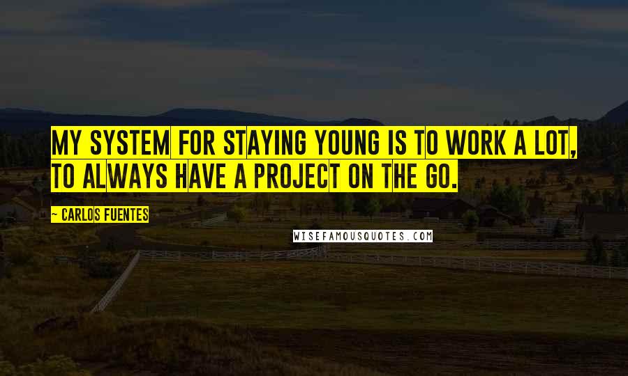 Carlos Fuentes Quotes: My system for staying young is to work a lot, to always have a project on the go.