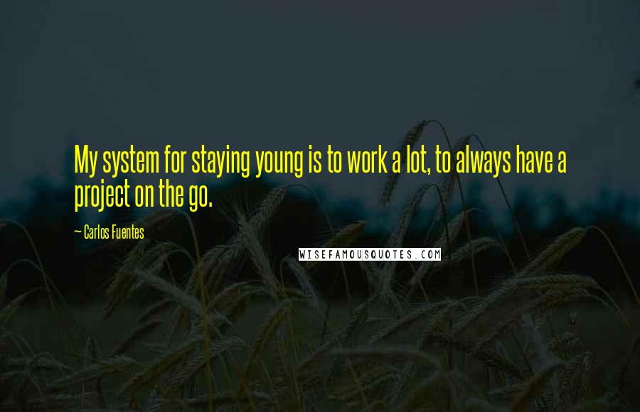 Carlos Fuentes Quotes: My system for staying young is to work a lot, to always have a project on the go.