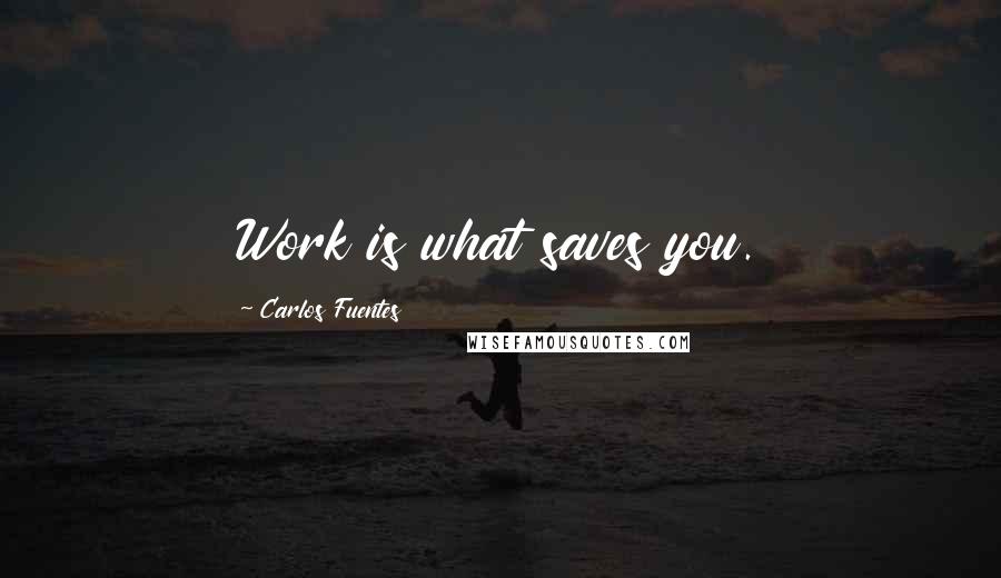 Carlos Fuentes Quotes: Work is what saves you.