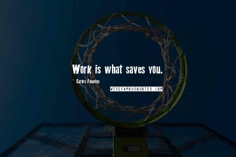 Carlos Fuentes Quotes: Work is what saves you.