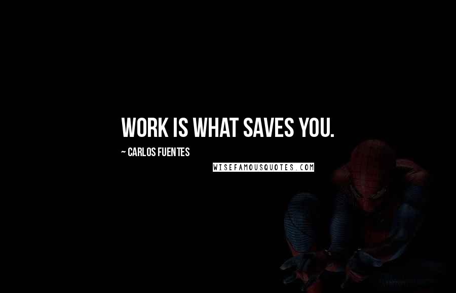 Carlos Fuentes Quotes: Work is what saves you.