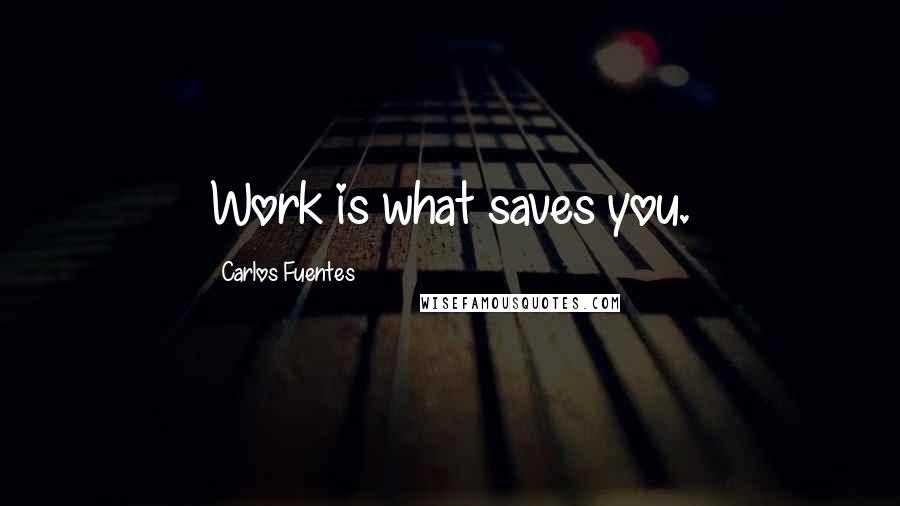 Carlos Fuentes Quotes: Work is what saves you.