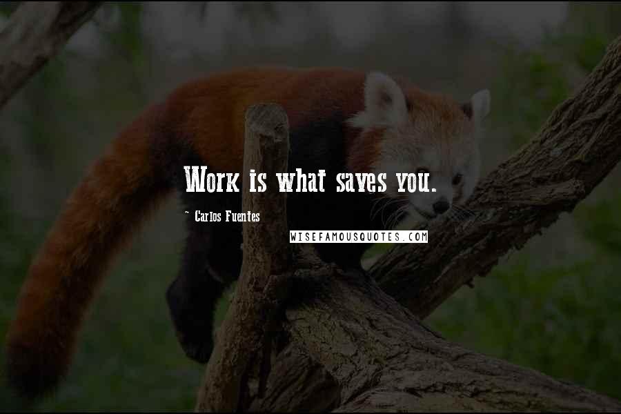 Carlos Fuentes Quotes: Work is what saves you.