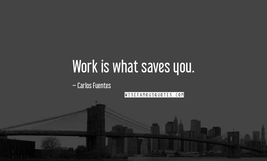 Carlos Fuentes Quotes: Work is what saves you.