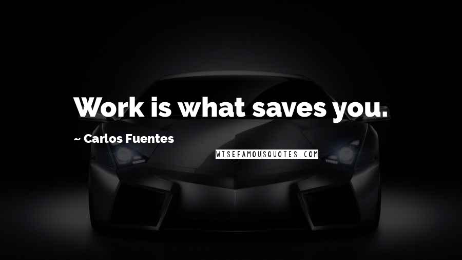 Carlos Fuentes Quotes: Work is what saves you.