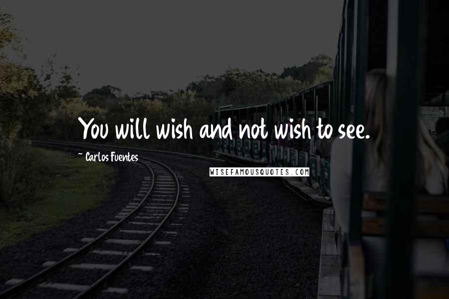 Carlos Fuentes Quotes: You will wish and not wish to see.