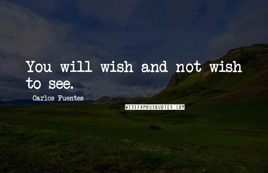 Carlos Fuentes Quotes: You will wish and not wish to see.