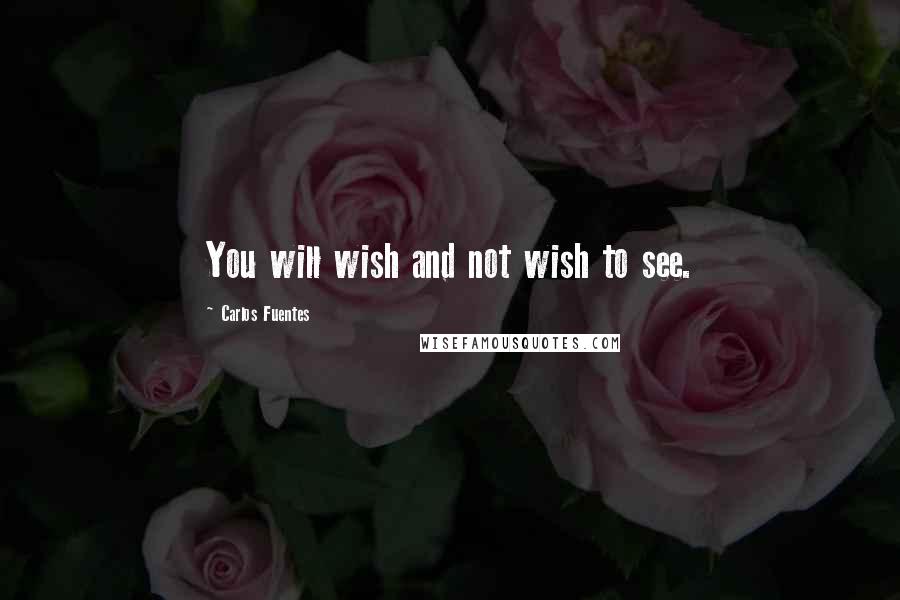 Carlos Fuentes Quotes: You will wish and not wish to see.