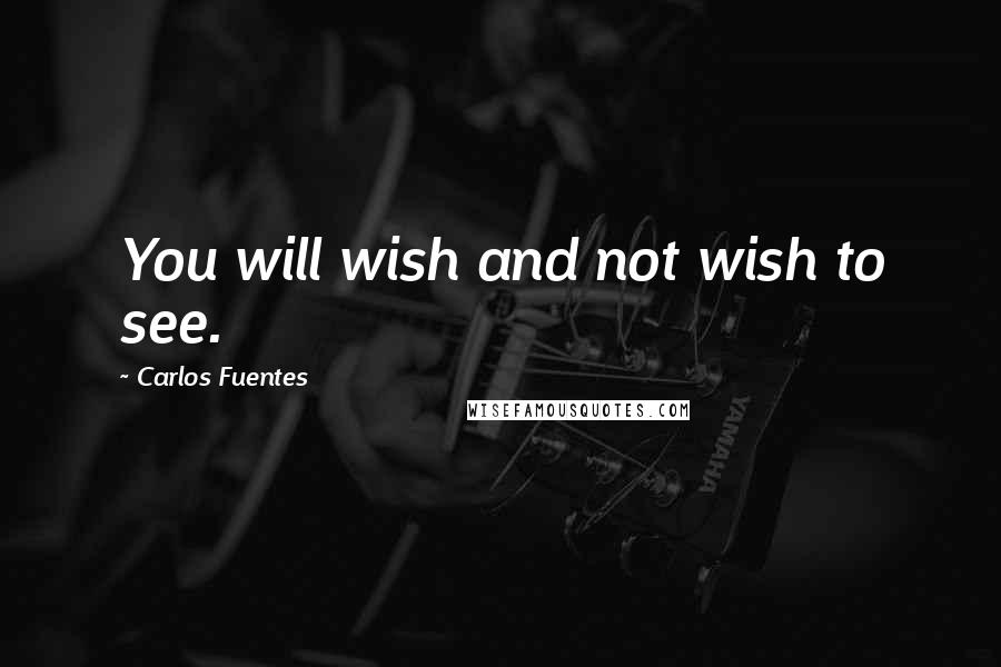 Carlos Fuentes Quotes: You will wish and not wish to see.